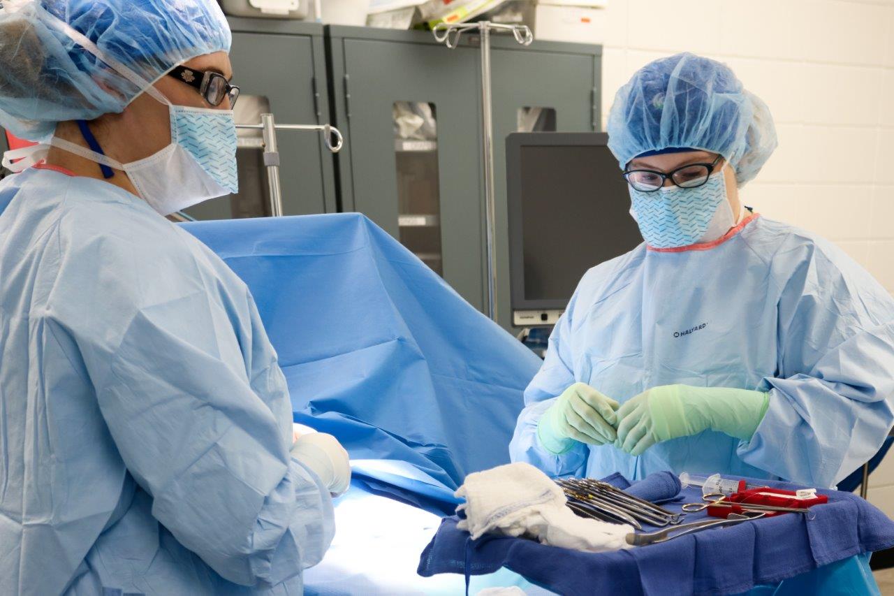 Surgical Technology M State